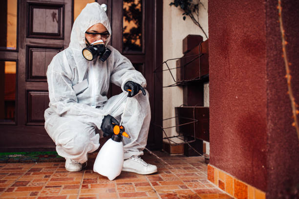 Reliable Wasp Removal contractor in Ashaway, RI by Show Me Pest Control